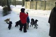 юный дрессировщик