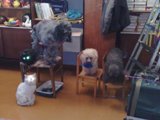 мы приехали